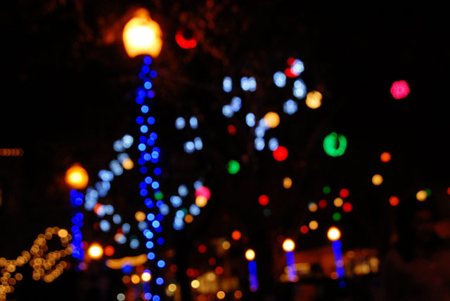 DSC_0065