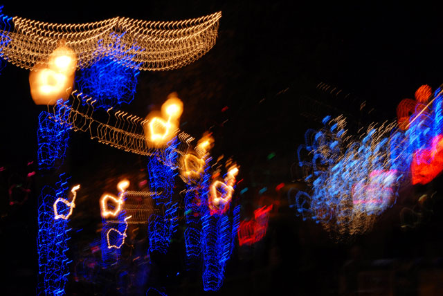 DSC_0174
