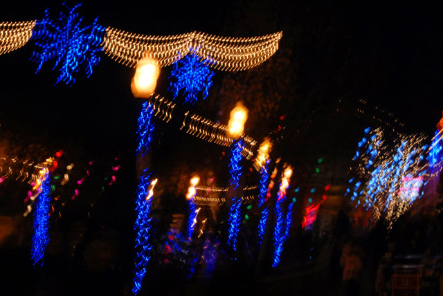 DSC_0181