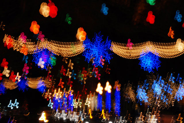 DSC_0185