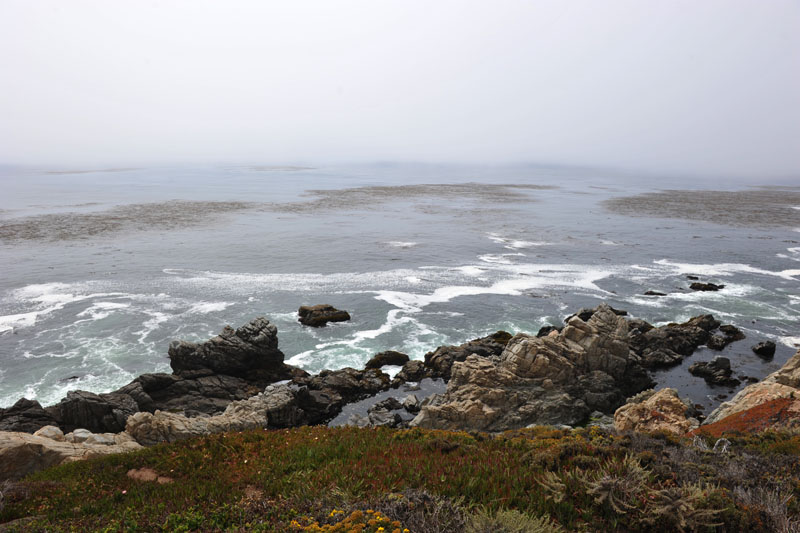 DSC_0031