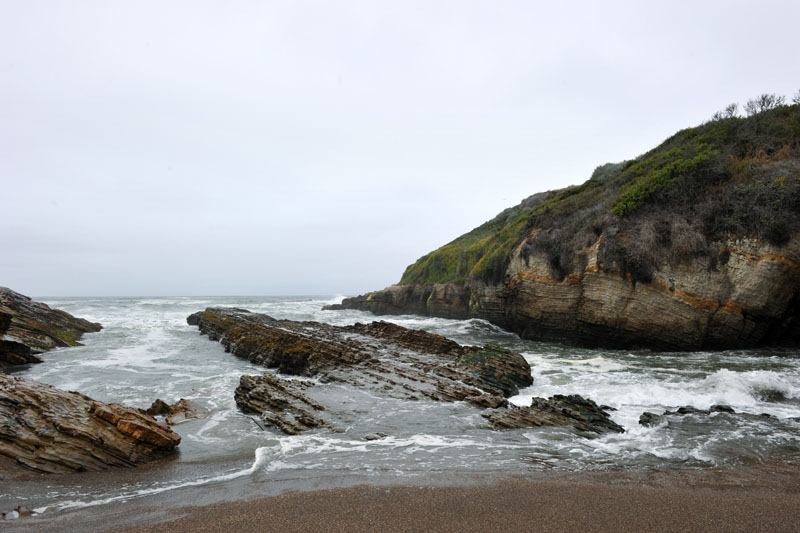 DSC_0254