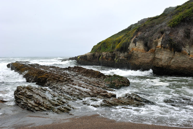 DSC_0255