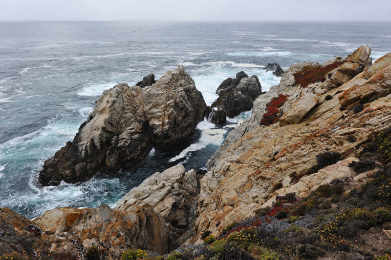 DSC_0689