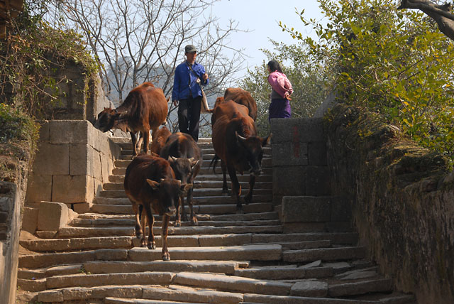 0734_YangShuo