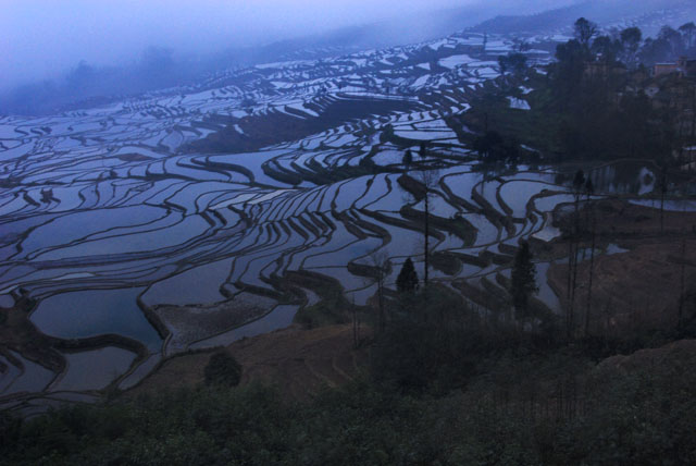 0827_YuanYang@YunNan