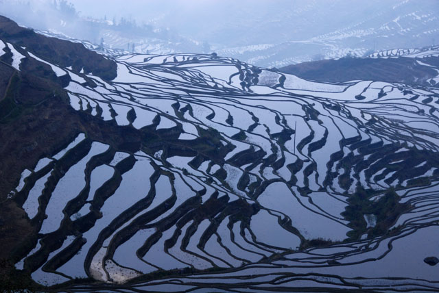 0829_YuanYang@YunNan