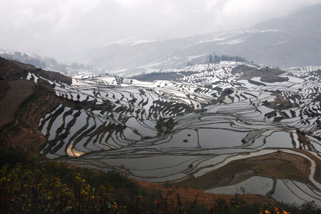0839_YuanYang@YunNan