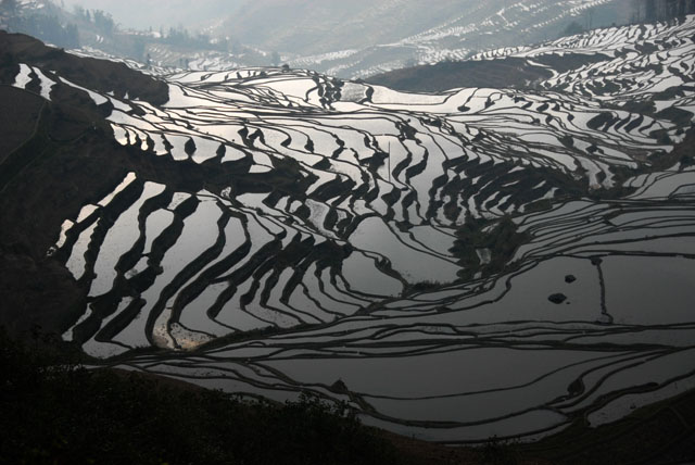 0871_YuanYang@YunNan