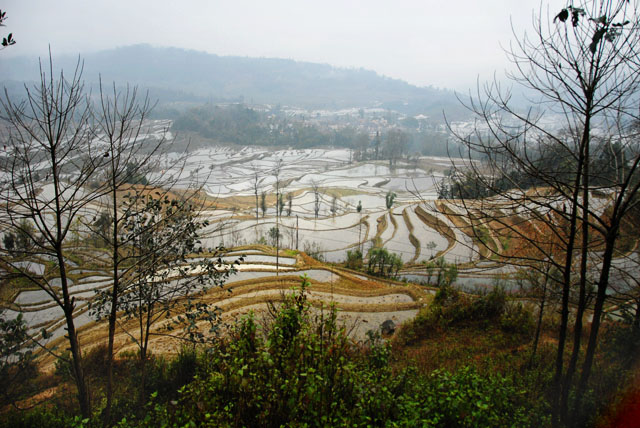 0873_YuanYang@YunNan