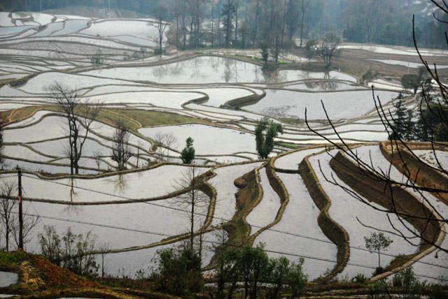 0879_YuanYang@YunNan