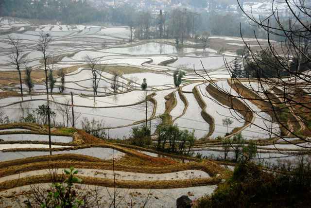 0880_YuanYang@YunNan