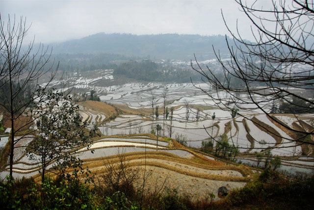 0884_YuanYang@YunNan
