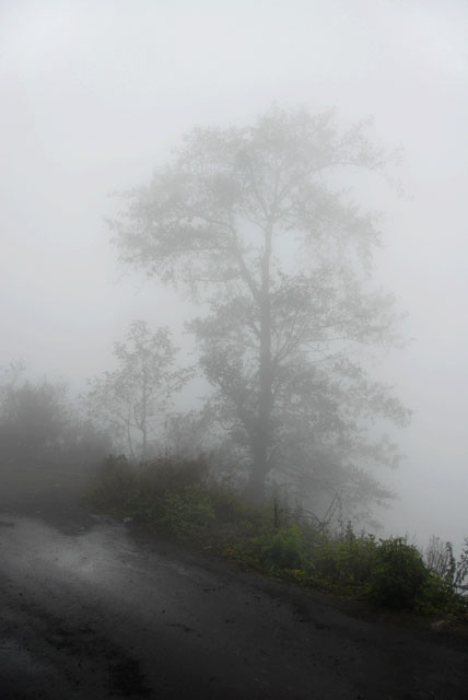 0903_YuanYang@YunNan