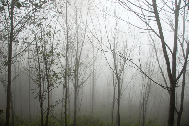 0906_YuanYang@YunNan