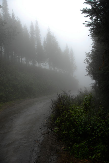 0915_YuanYang@YunNan
