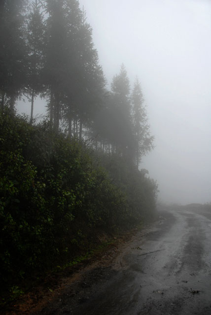 0916_YuanYang@YunNan