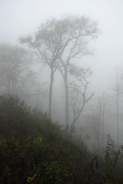 0923_YuanYang@YunNan