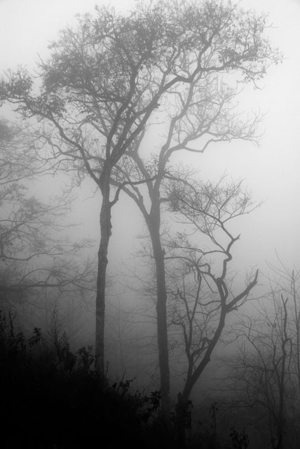 0926_YuanYang@YunNan