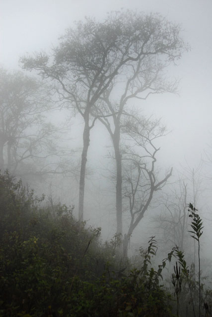 0933_YuanYang@YunNan