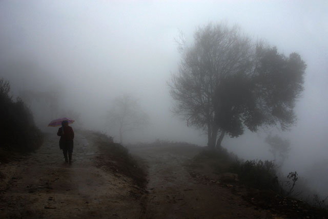 0946_YuanYang@YunNan