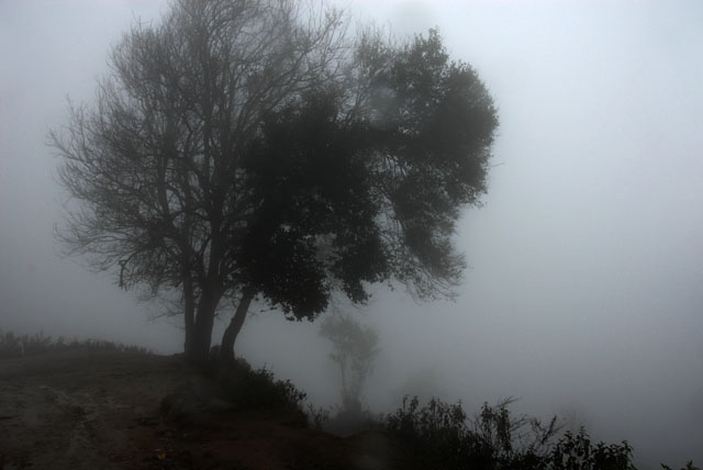 0949_YuanYang@YunNan