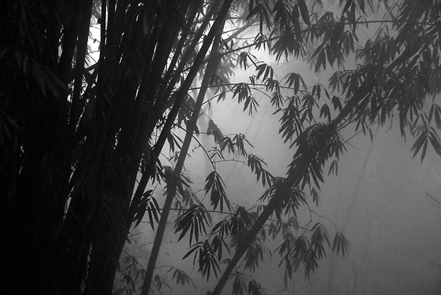 0958_YuanYang@YunNan