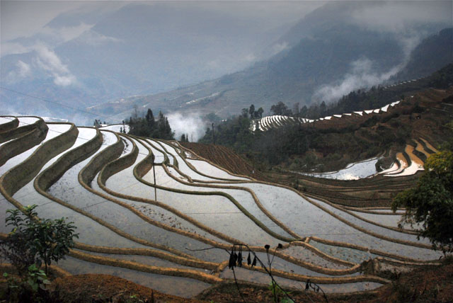0998_YuanYang@YunNan