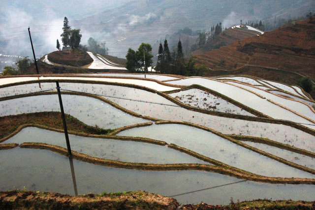 1003_YuanYang@YunNan
