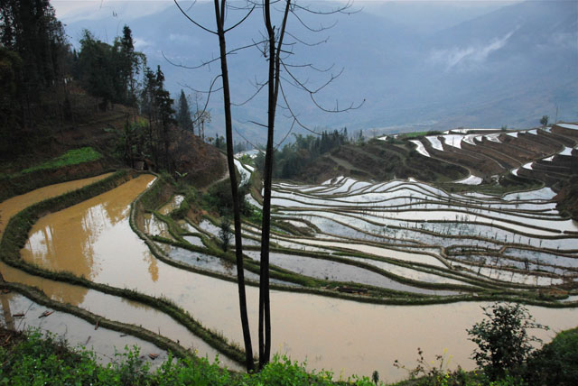 1009_YuanYang@YunNan