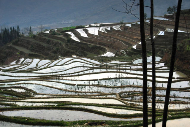 1010_YuanYang@YunNan