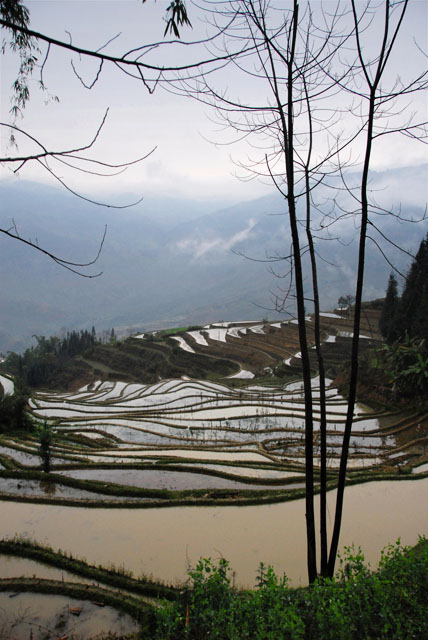 1013_YuanYang@YunNan