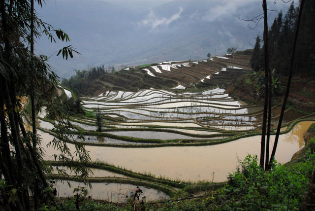 1015_YuanYang@YunNan