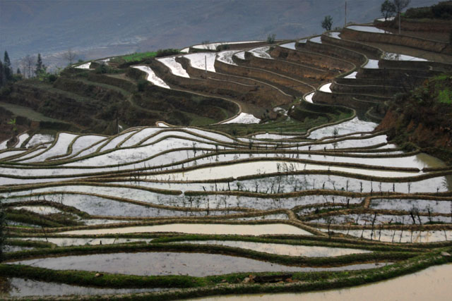 1018_YuanYang@YunNan