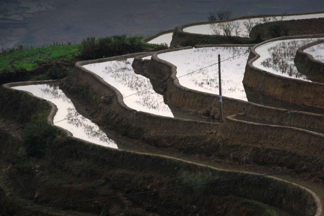 1020_YuanYang@YunNan