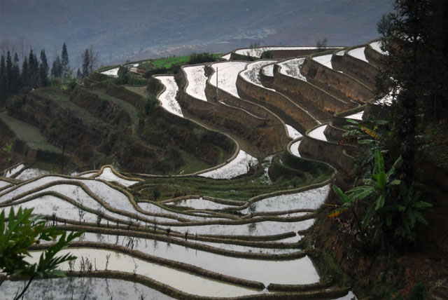 1030_YuanYang@YunNan