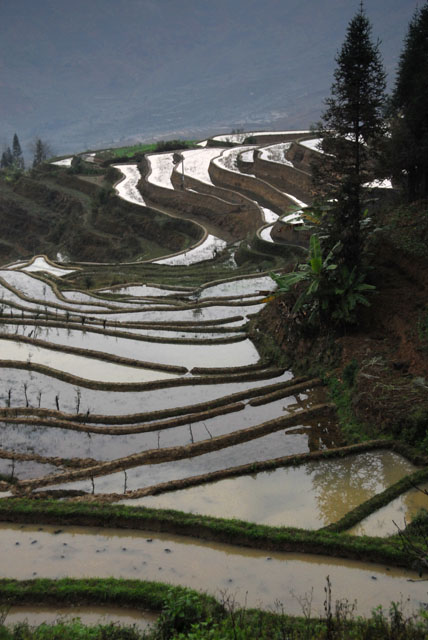 1032_YuanYang@YunNan