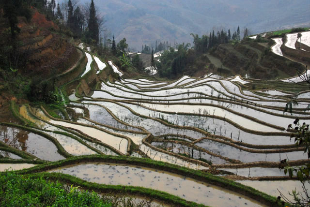 1033_YuanYang@YunNan