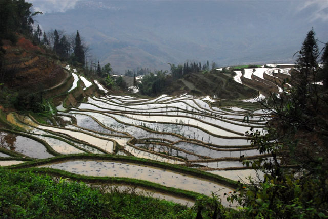 1034_YuanYang@YunNan