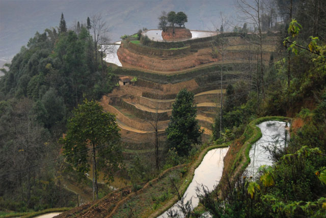 1040_YuanYang@YunNan