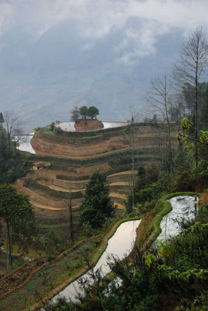 1042_YuanYang@YunNan