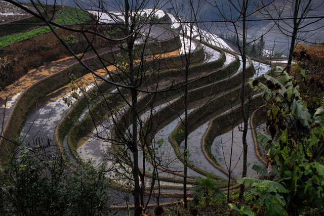 1054_YuanYang@YunNan