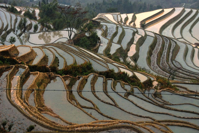 1075_YuanYang@YunNan