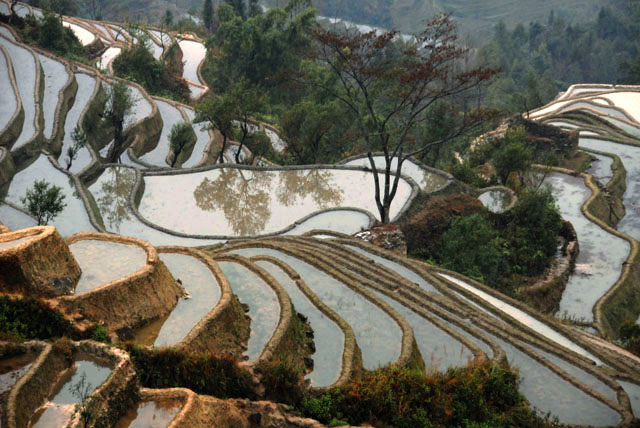 1077_YuanYang@YunNan