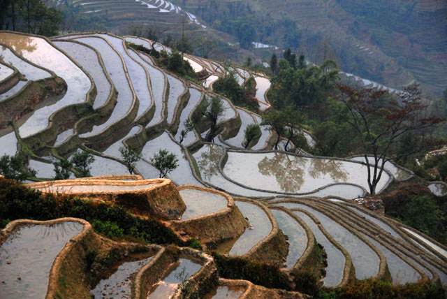 1082_YuanYang@YunNan