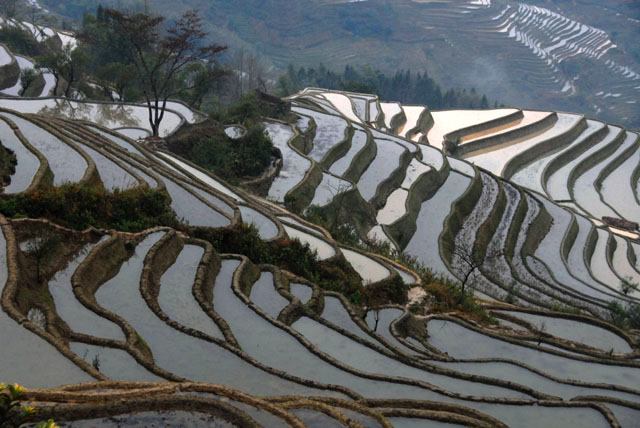 1091_YuanYang@YunNan