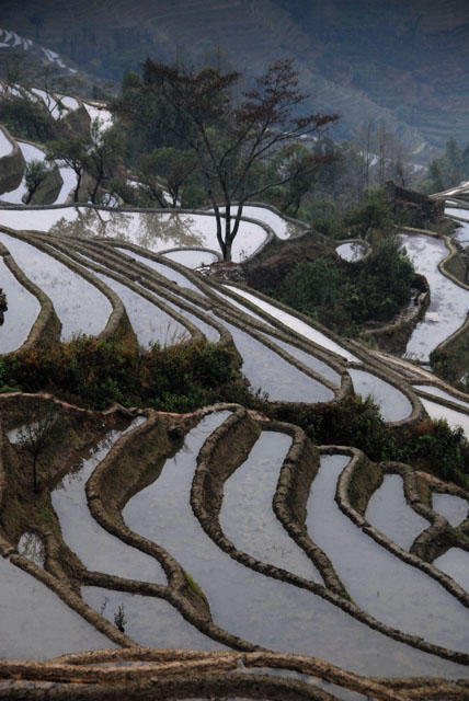 1094_YuanYang@YunNan