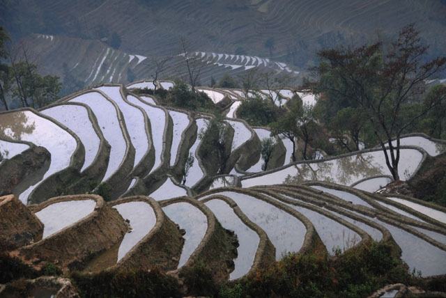 1103_YuanYang@YunNan