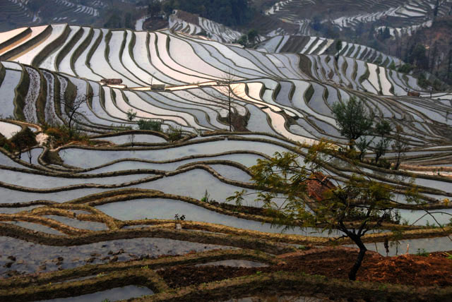 1107_YuanYang@YunNan