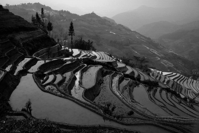 1123_YuanYang@YunNan